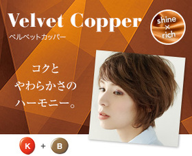 im_book_copper.jpgのサムネール画像